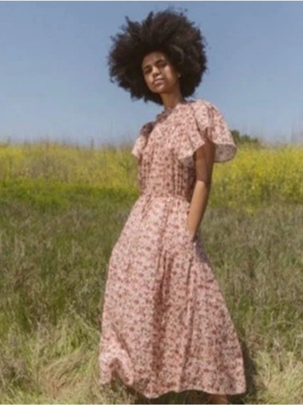 Trovata Birds of Paradise “Nancy” Dress Small (Pink and mauve color)
